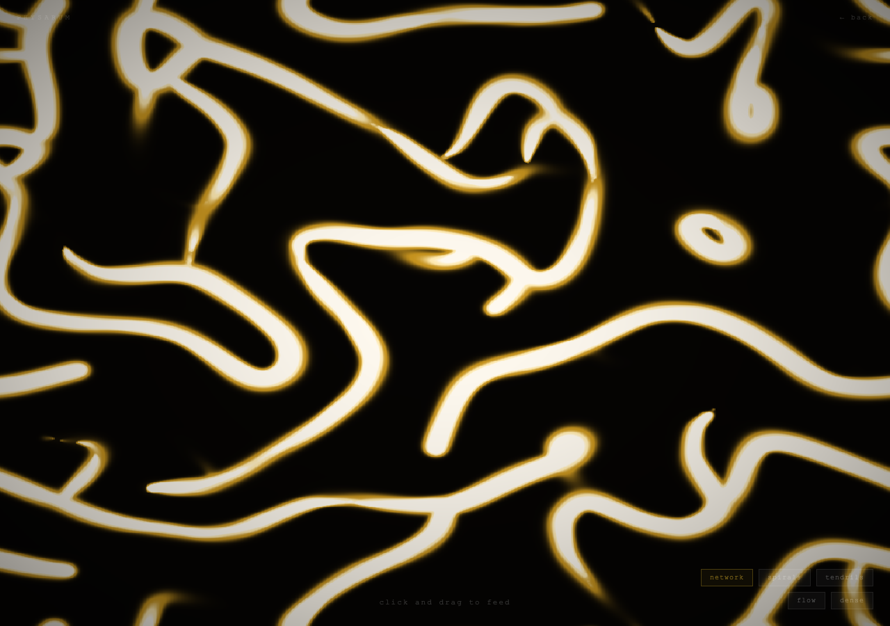 Physarum simulation: thick glowing amber-gold tendrils branching across pure black